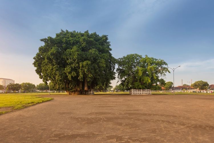 Tak Hanya Bercengkrama, Ini 11 Aktivitas yang Dapat Kamu Lakukan di Alun Alun Kidul Yogyakarta