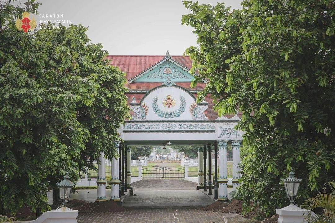 Bakpia kukus tugu jogja