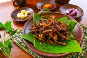 Belalang Goreng, Makanan Khas Jogja yang Ekstrim tapi Nikmat!