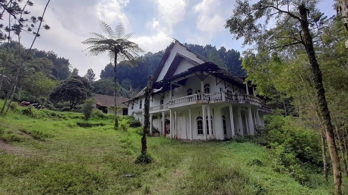 Bakpia kukus tugu jogja