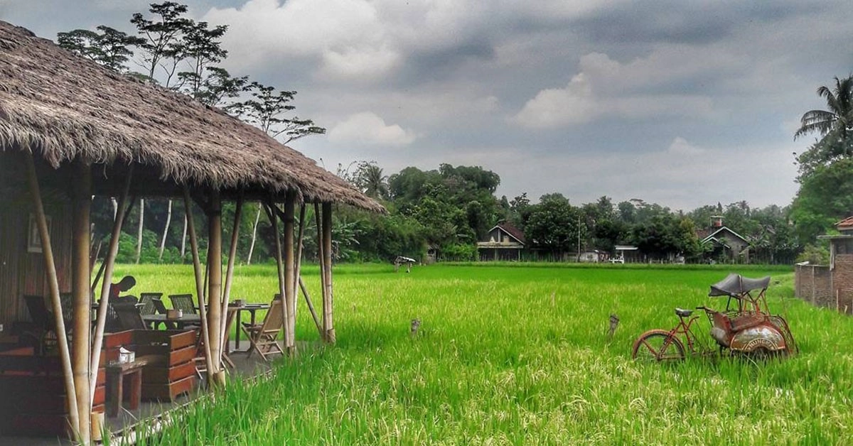 Bakpia kukus tugu jogja